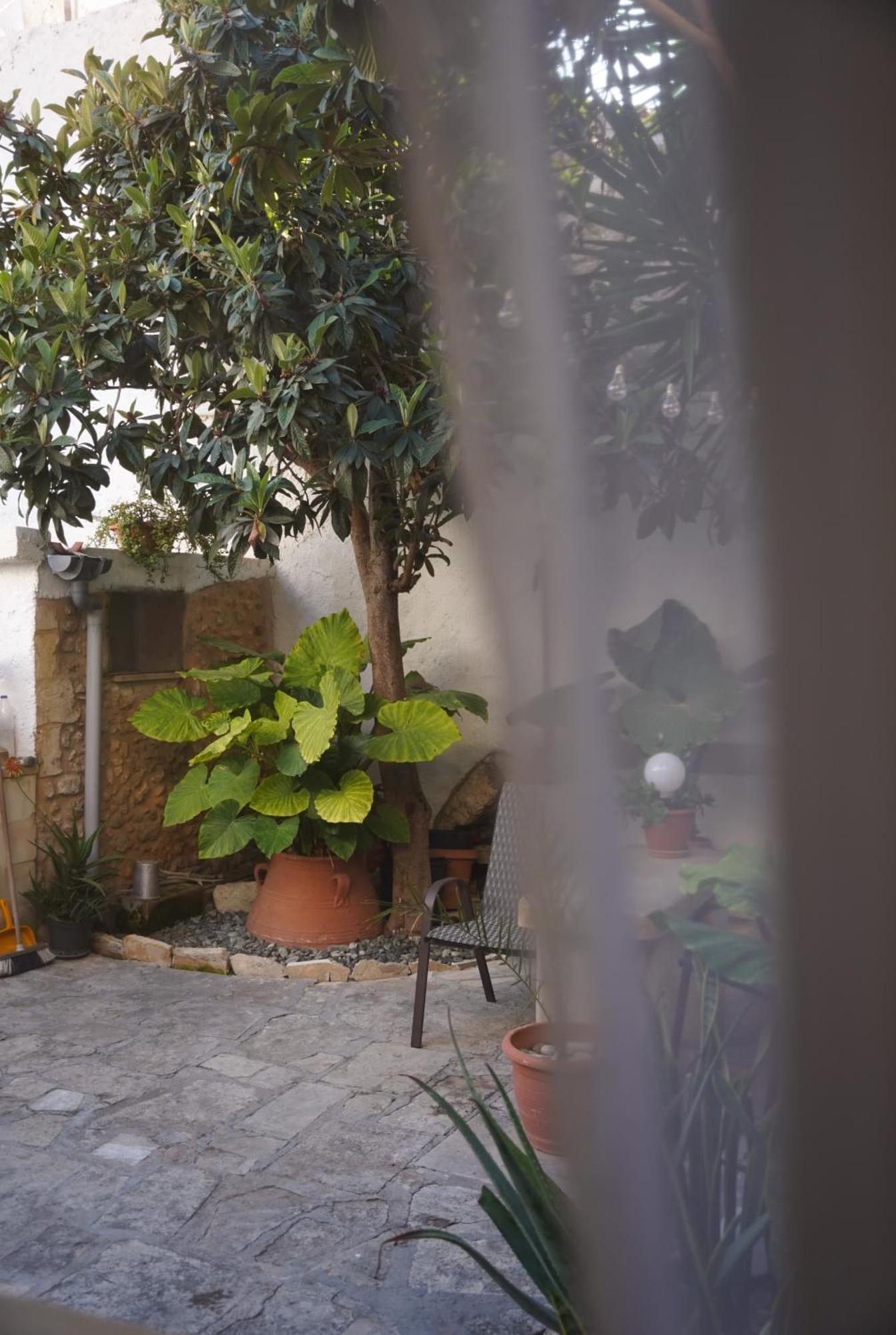 Appartement Rethymno Dome Garden Extérieur photo